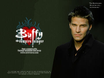026.jpg
