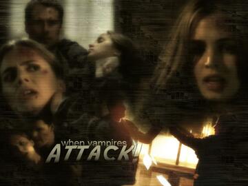 078.jpg
